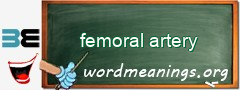 WordMeaning blackboard for femoral artery